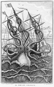 Giant Octopus, illustration från General and Special Natural History of Molluscs av ​​Denys-Montfort, ca. 1802-03 av French School