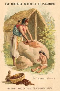 Malnötter (chromolitho) av French School