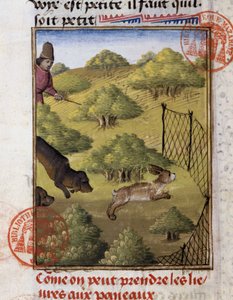 Hare Hunting - i "" Hunting Book of Gaston Phoebus, Count of Foix, Lord of Béarn"" av French School
