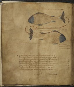 Harley 647, f.3v Illustration av konstellationen Fiskarna, från 