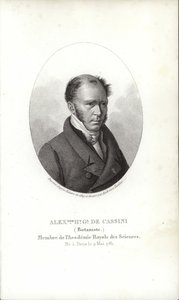 Henry Cassini av French School