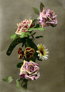 Hästsko och blommor ca 1898 (handtonat foto) av French School