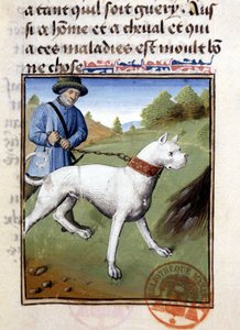 Jakthund hållen i koppel - i "" Jaktbok av Gaston Phoebus, greve av Foix, Lord of Béarn"" av French School