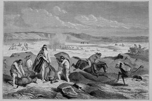 Jaga guanaco (vild lama) och nandou (eller patagonisk struts) i Argentina - i "" Tour du Monde"", 2:a veckan 1861 av French School