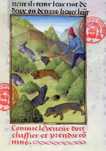 Jaga kaniner med hundar och nät, från Livre de la Chasse av Gaston Phebus, tidigt 1400-tal av French School