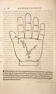 Illustration från Chiromantia av Joannes Indagioe, Strasbourg, 1531 (tryck & gravyr) av French School