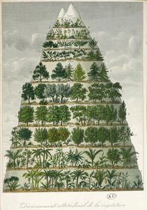 Illustration av olika typer av vegetation på olika höjder av French School