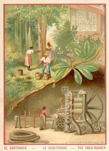 Indien gummi (chromolitho) av French School