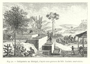 Indigoterie i Senegal, efter en gravyr av Seb, Leclerc, 1600-talet (gravyr) av French School