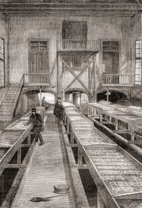 Interiör av en fiskodling från 1800-talet i Huningue, Frankrike, från Les Merveilles de la Science, publicerad ca 1870 (gravyr) av French School