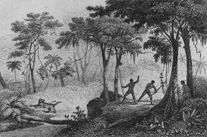 Jaguar Hunt, från 