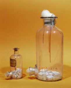Burk som användes av Louis Pasteur (1811-95) i hans forskning (glas)