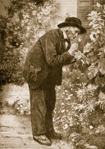 Jean-Henri Fabre observerar insekter av French School