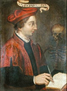 Jean Fernel (ca 1497-1558) (olja på duk) av French School