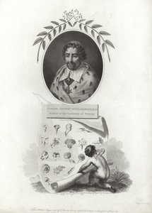 Joseph Pitton de Tournefort av French School