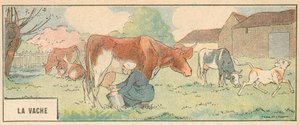 The Cow (färg litho) av French School