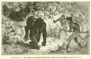 Gorillan (gravyr) av French School