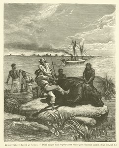 Löjtnant Harou i Kongo (gravyr) av French School