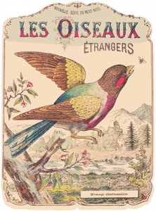 Les Oiseaux Étrangers: omslag till album. Charbonnière mesange, sent 1800-tal (tryck) av French School