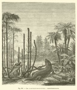 Les labyrinthodontes, mastodontosaures (gravyr) av French School