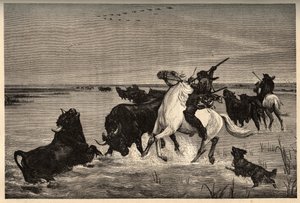 Camargues oxar (nötkreatur) efter målningen av vayson- gravyr i "" PATRIE" - gravering i "" PATILE"" - BESKRIVNING PINTUREQUIRESSE DE LA FRANCE I 6 VOLURES AV LUCIEN HUARD - slutet av 1800-talet av French School