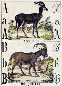 Bokstaven A antilop; B stenbock. Gravyr i "" Alphabet des animaux sauvages"". 9:e serien. Bildspråk av Epinal, Pellerin, tryckare-förlag, cirka 1870. Gravyrer på trä, stencilerade. 16 sidor. Mått: 20 x 15 cm. Privat samling av French School