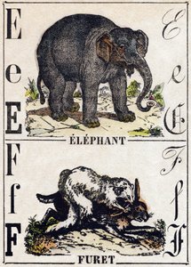 Bokstaven E elefant; F Iller. Gravyr i "" Alphabet des animaux sauvages"". 9:e serien. Bildspråk av Epinal, Pellerin, tryckare-förlag, ca 1870. Gravyrer på trä, stencilerade. 16 sidor. Mått: 20 x 15 cm. Privat samling av French School