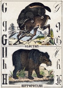 Bokstaven G frossare; H Flodhäst. Gravyr i "" Alphabet des animaux sauvages"". 9:e serien. Bildspråk av Epinal, Pellerin, tryckare-förlag, cirka 1870. Gravyrer på trä, stencilerade. 16 sidor. Mått: 20 x 15 cm. Privat samling av French School