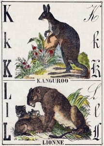Bokstaven K L; K Kanguroo; Lejoninnan. Gravyr i "Wild Animals Alphabet". 9:e serien. Bildspråk av Epinal, Pellerin, tryckare-förlag, cirka 1870. Gravyrer på trä, stencilerade. 16 sidor. Storlek: 20 x 15 cm. Privat samling av French School