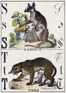Bokstaven S Sarigue (Opossum); Tiger. Gravyr i "" Alphabet des animaux sauvages"". 9:e serien. Bildspråk av Epinal, Pellerin, tryckare-förlag, cirka 1870. Gravyrer på trä, stencilerade. 16 sidor. Mått: 20 x 15 cm. Privat samling av French School