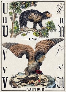 Bokstaven U Unau (lat); V Vulture. Gravyr i "" Alphabet des animaux sauvages"". 9:e serien. Bildspråk av Epinal, Pellerin, tryckare-förlag, cirka 1870. Gravyrer på trä, stencilerade. 16 sidor. Mått: 20 x 15 cm. Privat samling av French School