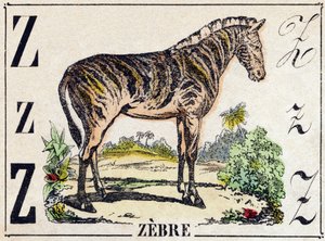 Bokstaven Z Zebra. Gravyr i "Wild Animals Alphabet". 9:e serien. Bildspråk av Epinal, Pellerin, tryckare-förlag, cirka 1870. Gravyrer på trä, stencilerade. 16 sidor. Storlek: 20 x 15 cm. Privat samling av French School