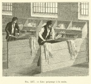 Linne, handkamning (gravyr) av French School