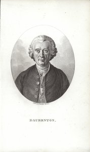 Louis-Jean-Marie Daubenton av French School
