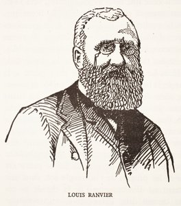 Louis Ranvier av French School