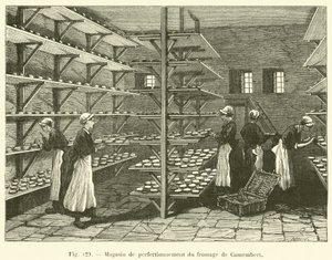 Camembert ostförbättringsbutik (gravyr) av French School