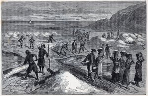 Marais salants de Bretagne på 1800-talet - Gravyr i "Vetenskapen förmedlade till stipendiets tacksamma - fysik och kemi" av Alexis Clerc - Sent 1800-tal - Privat samling av French School