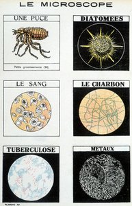 Mikroskop: ett chip, kiselalger, blod, kol, tuberkulos, metaller. av French School