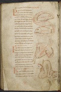 Diverse verk om datorer och astronomi, Royal MS 13 A XI av French School