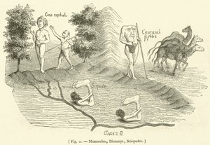 Monocules, Blemmys, Sciopodes (gravyr) av French School