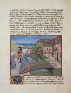 Ms 165 fol.48v A Watermill, från l