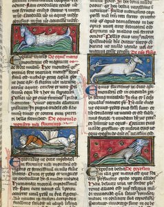 Ms 320 Fol.115r Sea Monsters, från 
