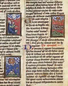 Ms 320 Fol.197 Comets、Thomas van Cantimpre (1201-72) 作「De Natura rerum」より (ベラム)スウェーデン語 av French School