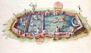 Ms 3243 The Baths of Nerys at Neris-les-Bains, illustration från 