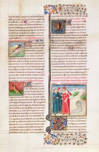 Ms 399 fol. 149 Sköldpaddans, tjuvans och fladdermusens egenskaper, från 