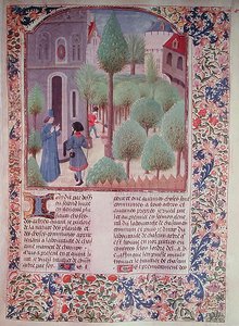 Ms 5064 fol.105r Plantera träd, från Livre des Prouffitz Champestres av Pietro de Crescenzi (1230-132021) av French School