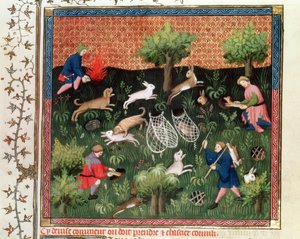 Fr 616 fol.92 Jagar harar, från Livre de la Chasse av Gaston Phebus de Foix (1331-91), sent 1400-tal av French School