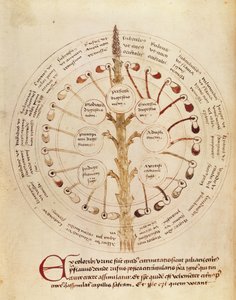 Ms Lat 11229 fol.19r Tabell för urinanalys, från Petit Traite dhygiene et Medecine av French School