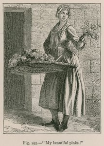 Mina vackra rosa! av French School