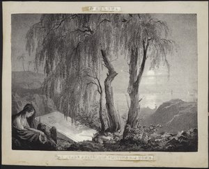 Napoleon Bonaparte besöker sin grav på St Helena